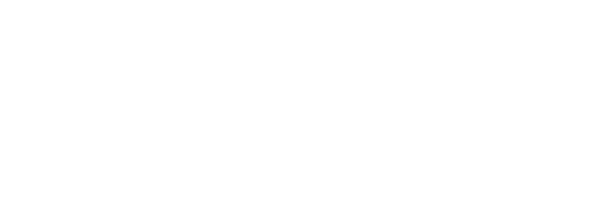 Concierge Medical Management Logo